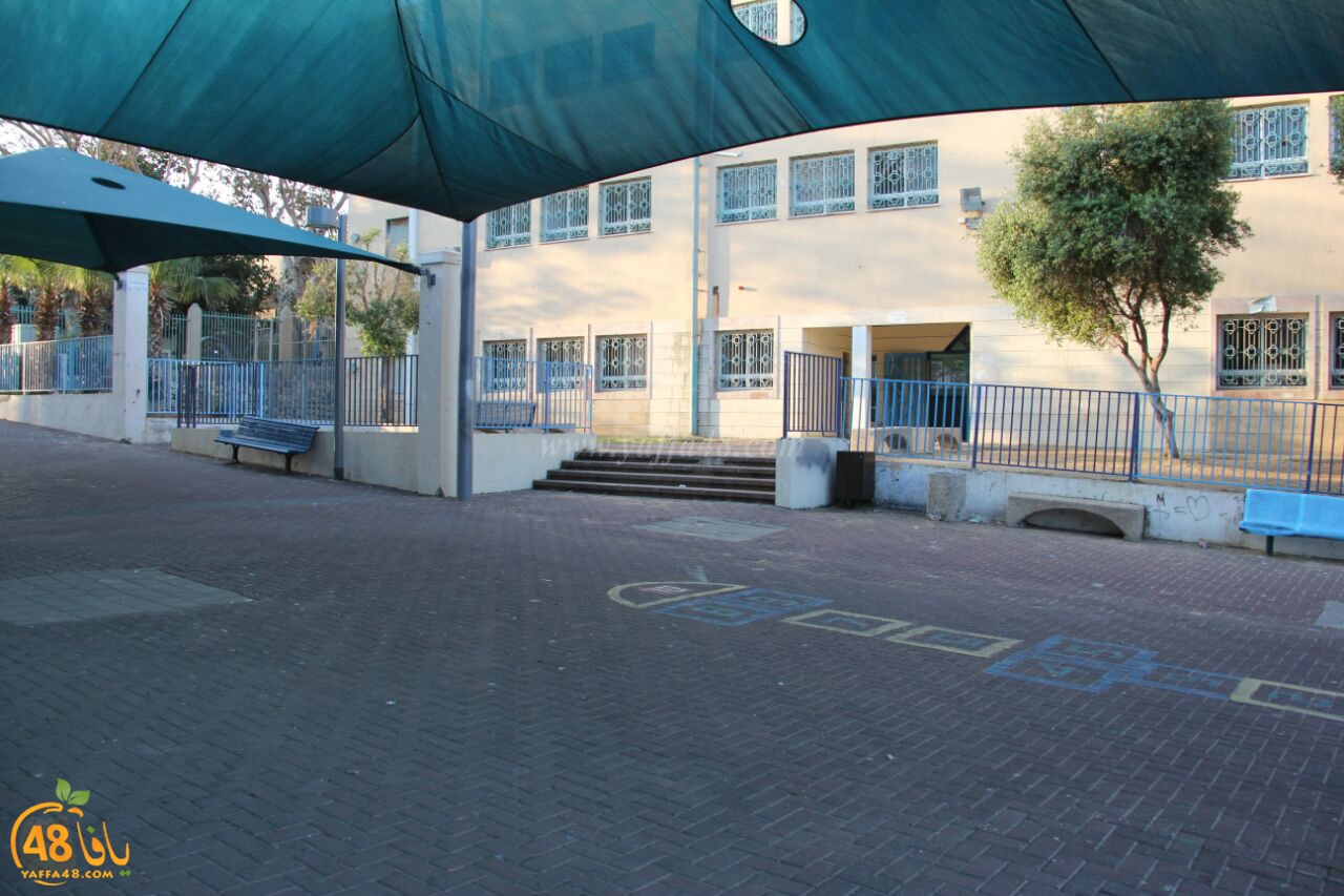 idrab shamela (9).jpg